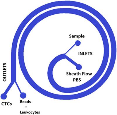 Low-cost 3D printed inertial flow microfluidic devices for cellular isolation in liquid biopsies